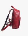 U-Zip Backpack - Image 3